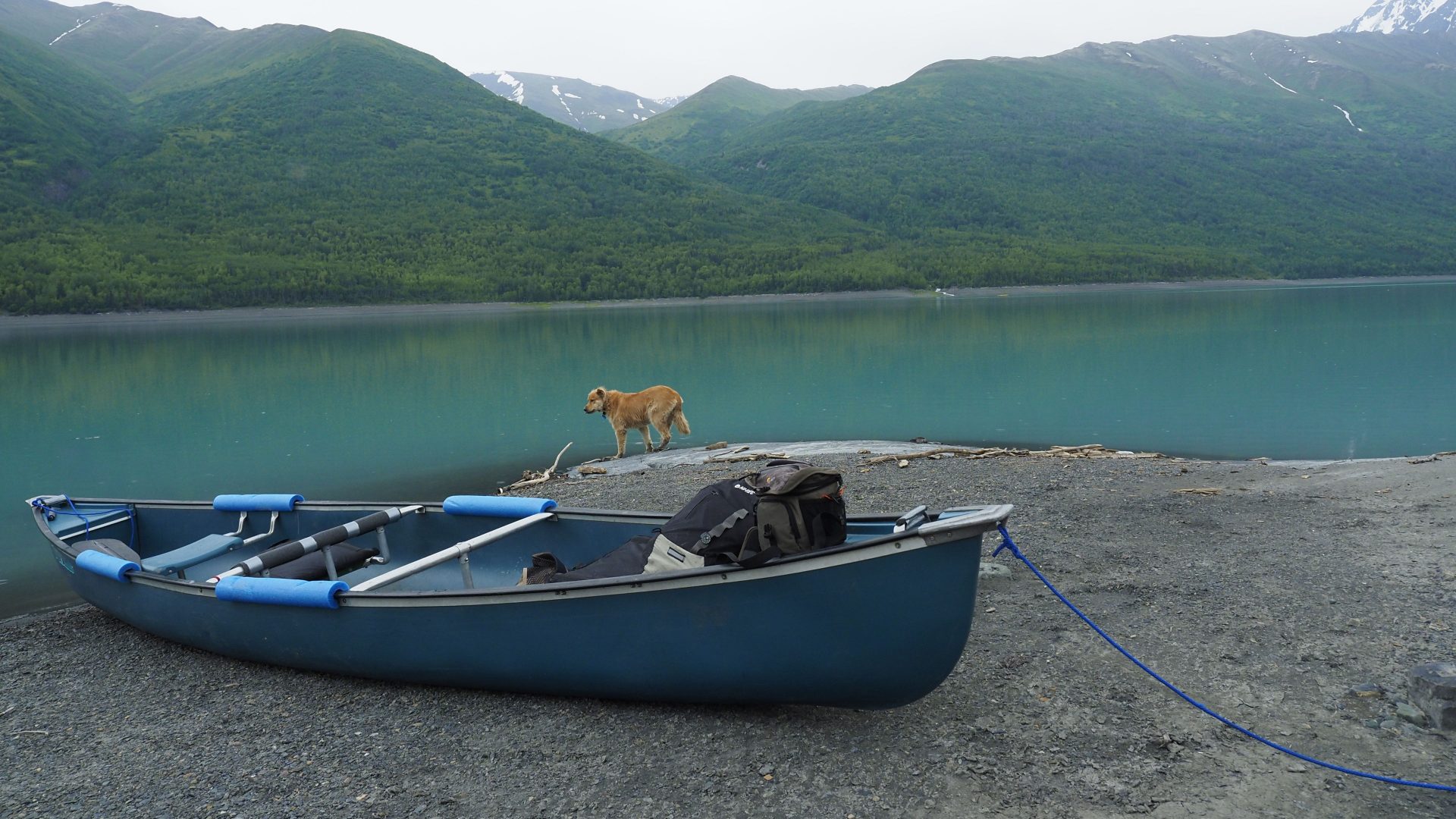 Dog and canoe on the shore of lake Eklutna, Alaska