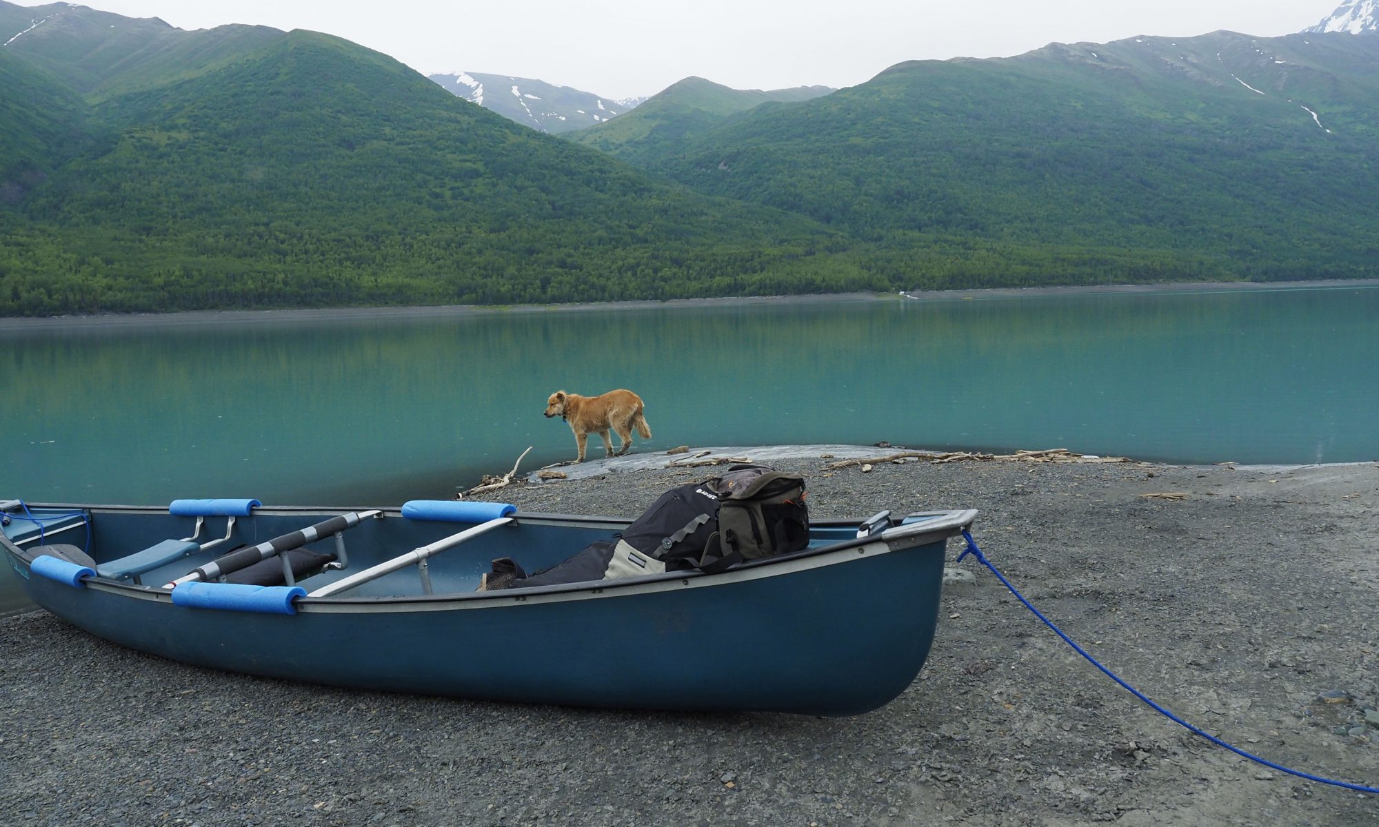 Dog and canoe on the shore of lake Eklutna, Alaska